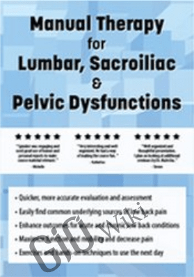 Manual Therapy for Lumbar, Sacroiliac, & Pelvic Dysfunctions - Shane Malecha