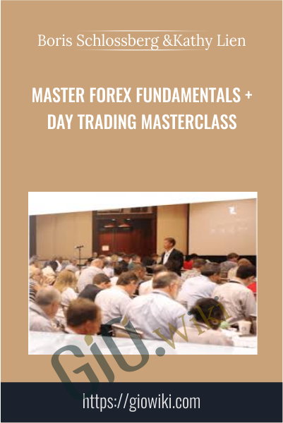 Master Forex Fundamentals + Day Trading Masterclass - Boris Schlossberg & Kathy Lien