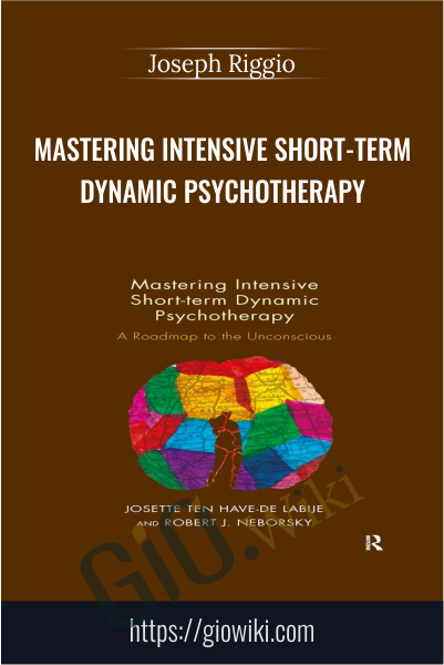 Mastering Intensive Short-Term Dynamic Psychotherapy - Josette Ten Have-De Labije & Robert J. Neborsky