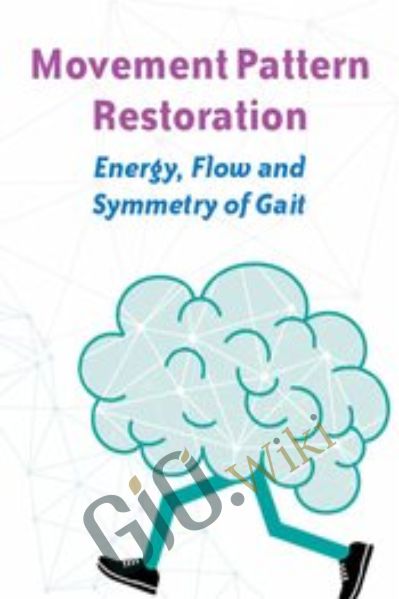 Movement Pattern Restoration: Energy, Flow and Symmetry of Gait - Michel (Shelly) Denes