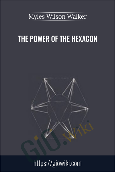 The Power of the Hexagon - Myles Wilson Walker