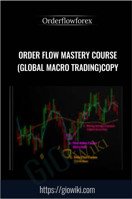 Order Flow Mastery Course (Global Macro Trading) Copy - Orderflowforex