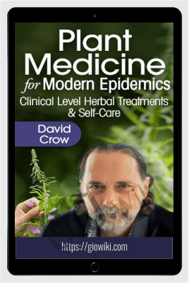 Plant Medicine for Modern Epidemics - David Crow