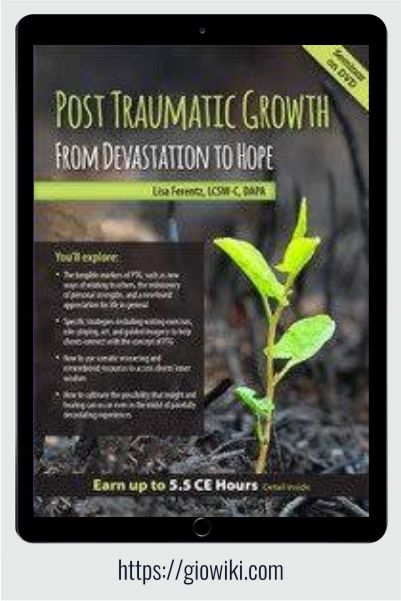 Post Traumatic Growth - From Devastation to Hope - Lisa Ferentz