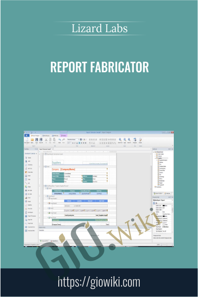 Report Fabricator - Lizard Labs