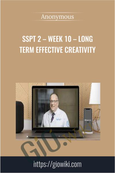 SSPT 2 – WEEK 10 – Long Term Effective Creativity