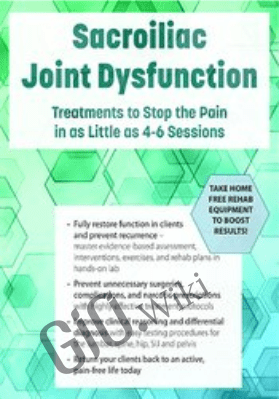 Sacroiliac Joint Dysfunction: Treatments to Stop the Pain in as Little as 4-6 Sessions - Kyndall Boyle