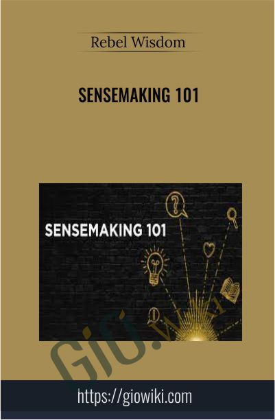 Sensemaking 101 - Rebel Wisdom