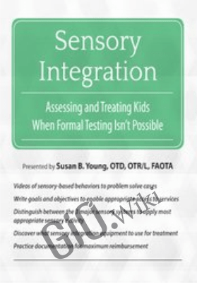 Sensory Integration: Assessing and Treating Kids When Formal Testing Isn't Possible - Susan B. Young