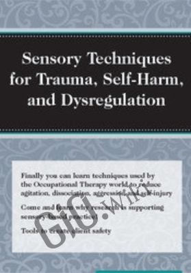 Sensory Techniques for Trauma, Self-Harm, and Dysregulation - Brooke Wimer
