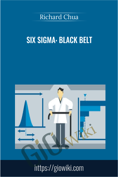 Six Sigma: Black Belt - Richard Chua