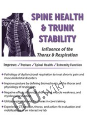 Spine Health & Trunk Stability: Influence of the Thorax & Respiration - Debra Dent