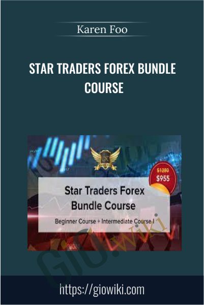 Star Traders Forex Bundle Course - Karen Foo