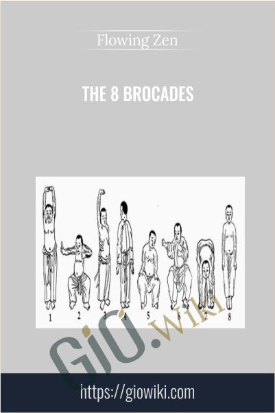 The 8 Brocades - Flowing Zen