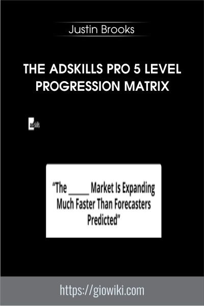 The AdSkills Pro 5 Level Progression Matrix - Justin Brooks