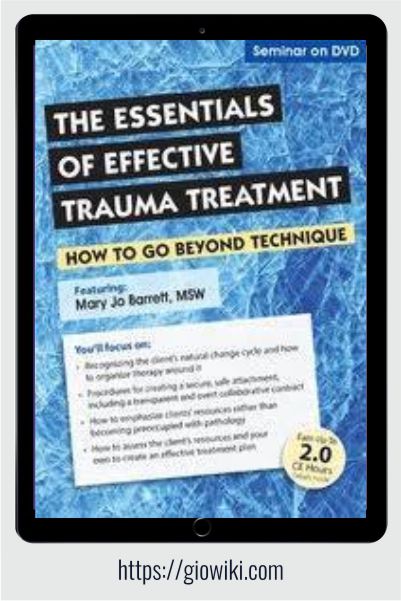 The Essentials of Effective Trauma Treatment - How to Go Beyond Technique - Mary Jo Barrett
