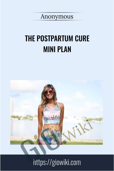 The Postpartum Cure MINI Plan - Katie Pickett