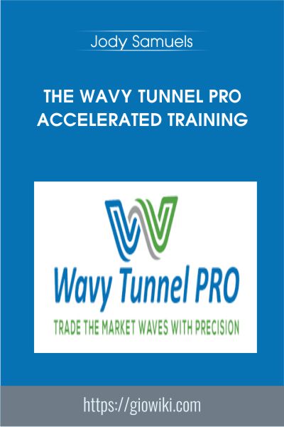 The Wavy Tunnel PRO Accelerated Training - Jody Samuels