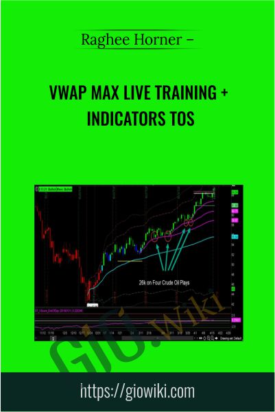 VWAP Max Live Training + Indicators ToS - Raghee Horner
