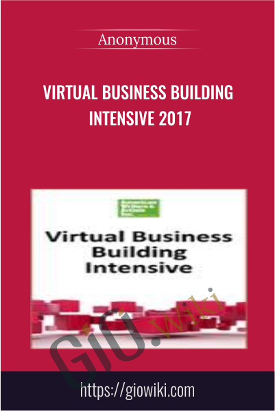 Virtual Business Building Intensive 2017
