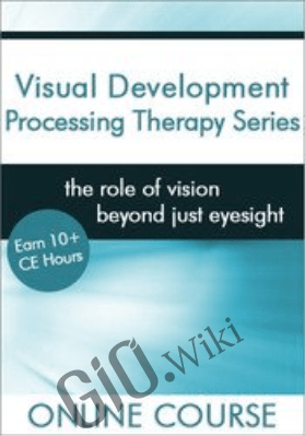 Visual Development Processing Therapy Series - Leonard J. Press & Christine Winter-Rundell