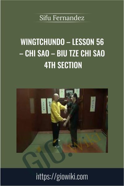 WingTchunDo – Lesson 56 – Chi Sao – Biu Tze Chi Sao 4th Section - Sifu Fernandez