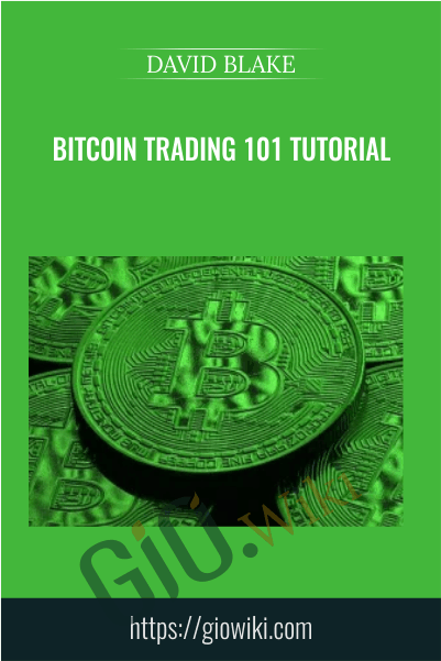 Bitcoin Trading 101 TUTORiAL - David Blake