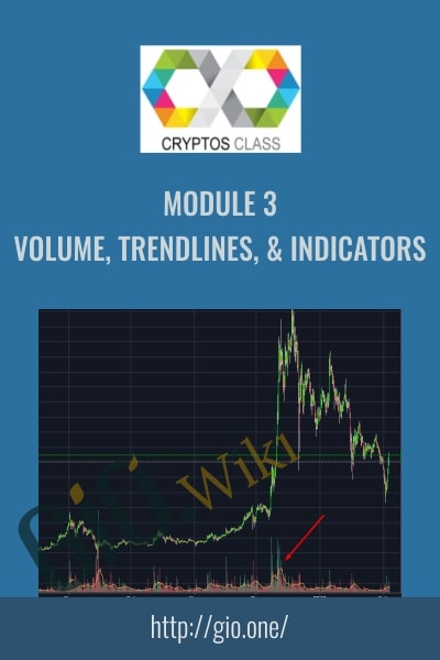 Module 3 – Volume, Trendlines, & Indicators