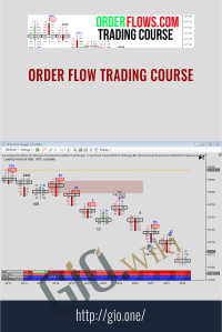 Order Flow Trading Course - Order Flow