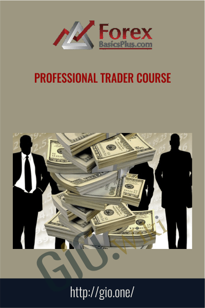 Professional Trader Course