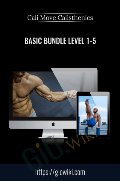 Basic Bundle Level 1-5 - Cali Move Calisthenics
