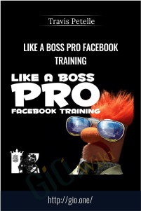 LIKE A Boss PRO Facebook Training – Travis Petelle