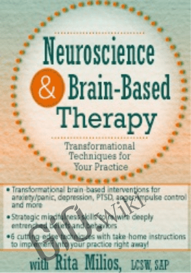 Neuroscience and Brain-Based Therapy: Transformational Techniques for Your Practice - Rita Milios