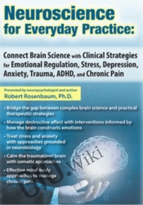 Neuroscience for Everyday Practice: Connect Brain Science with Clinical Strategies for Emotional Regulation, Stress, Depression, Anxiety, Trauma, ADHD, and Chronic Pain - Robert Rosenbaum