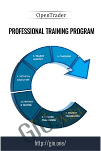 Professional Training Program - OpenTrader