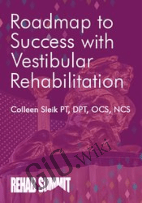 Roadmap to Success with Vestibular Rehabilitation - Colleen Sleik