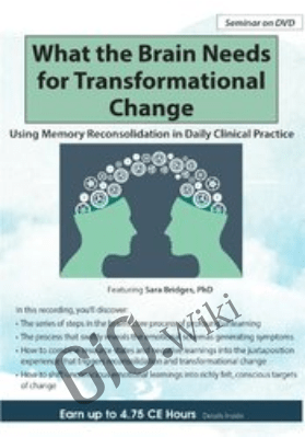 What the Brain Needs for Transformational Change: Using Memory Reconsolidation in Daily Clinical Practice - Bruce Ecker &  Sara Bridges
