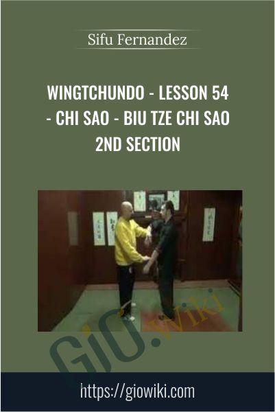 WingTchunDo - Lesson 54 - Chi Sao - Biu Tze Chi Sao 2nd Section - Sifu Fernandez