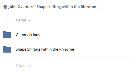 Shapeshifting within the Rhizome – John Overdurf