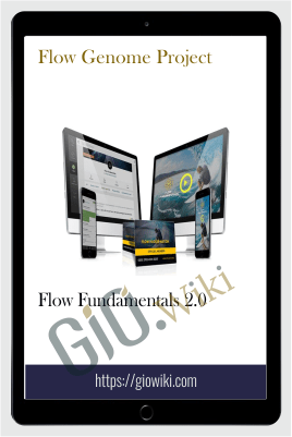Flow Fundamentals 2.0 – Flow Genome Project